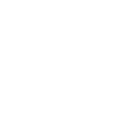 The Stock Market